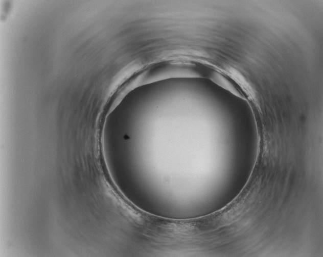 X0000086891384200704231117