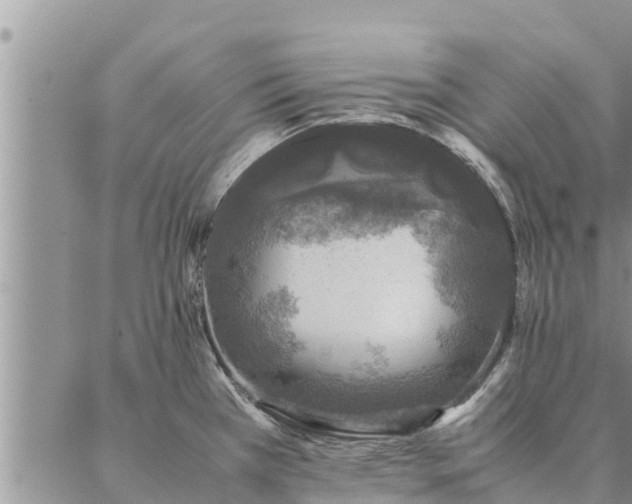 X0000086891385200704231117