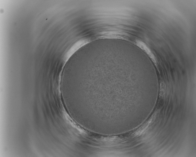 X0000086891386200704231117