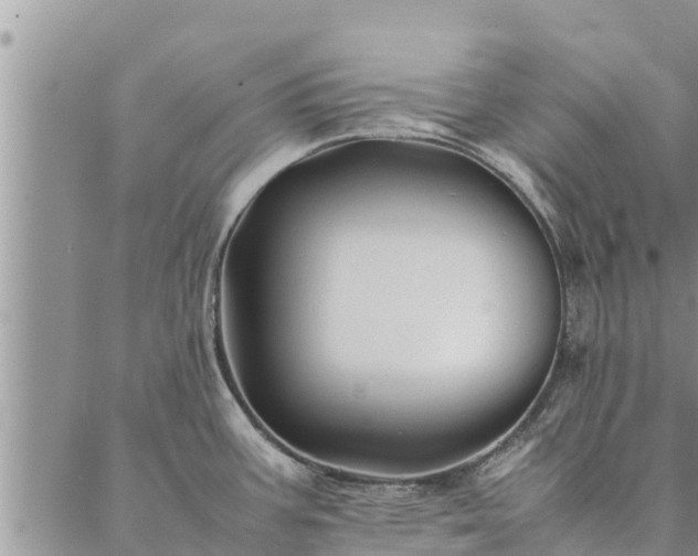 X0000086891387200704231117