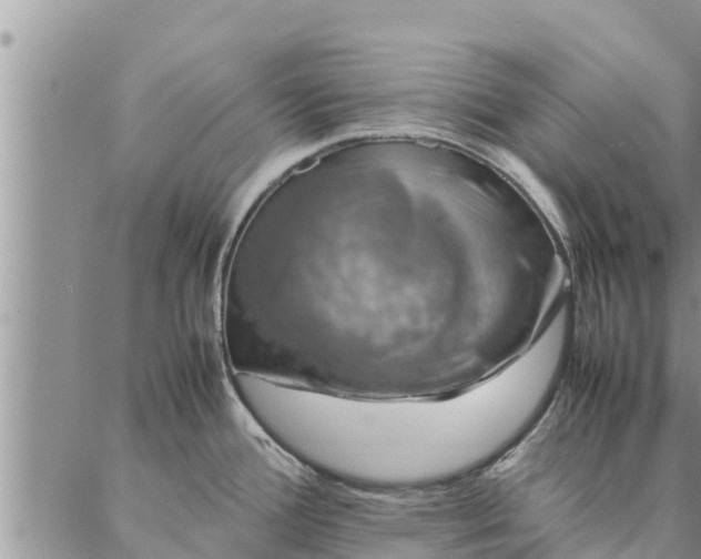 X0000086891388200704231117