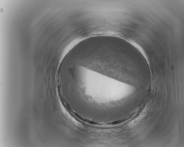 X0000086891389200704231117