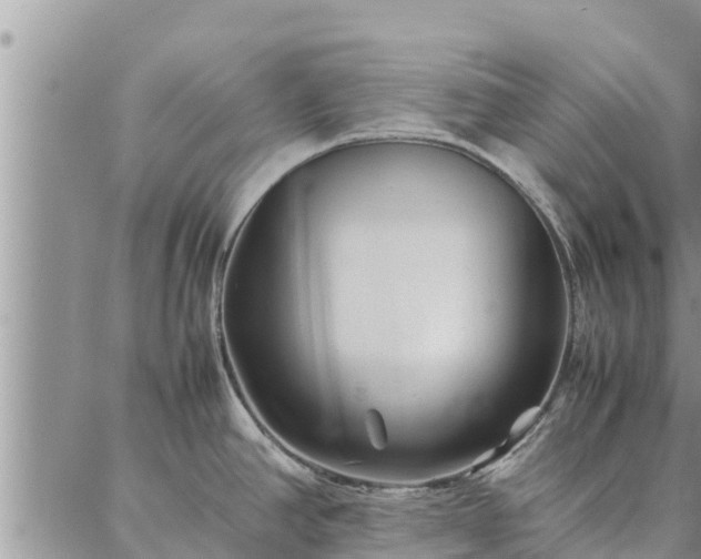 X0000086891390200704231117