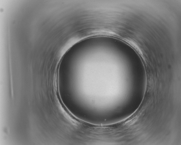 X0000086891391200704231117