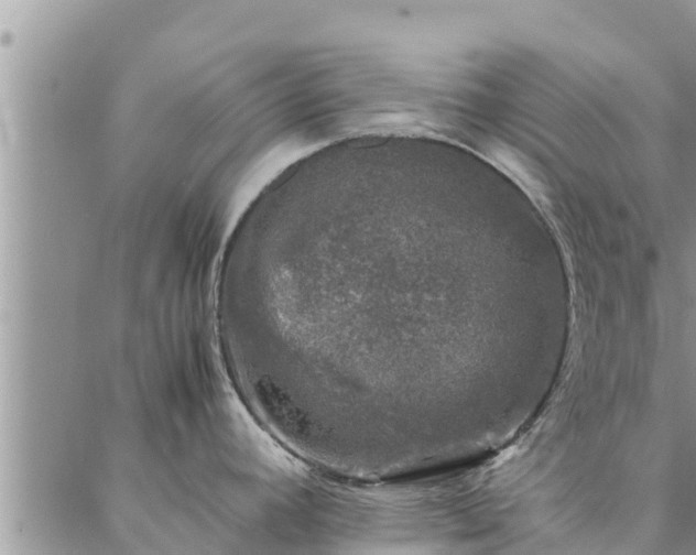 X0000086891392200704231117