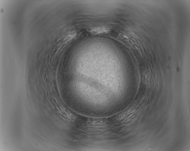 X0000086891393200704231116