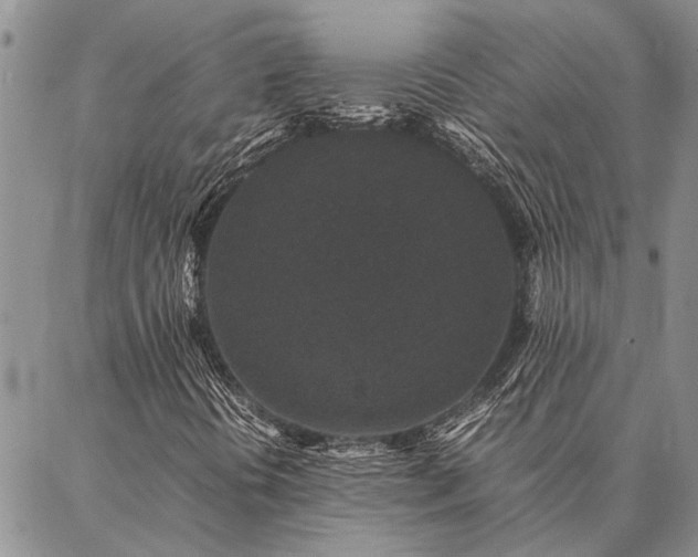 X0000086891394200704231116