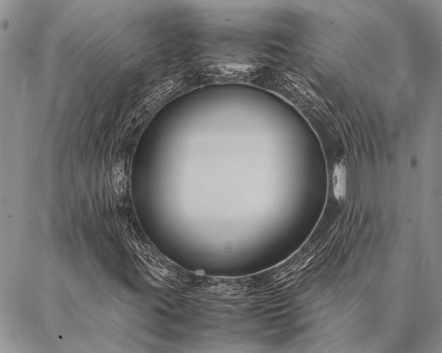 X0000086891395200704231116