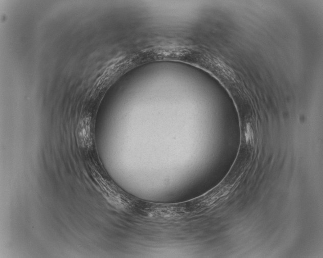 X0000086891396200704231116