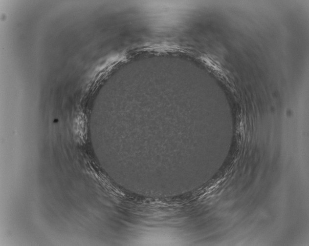 X0000086891398200704231116