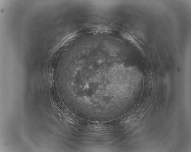 X0000086891399200704231116