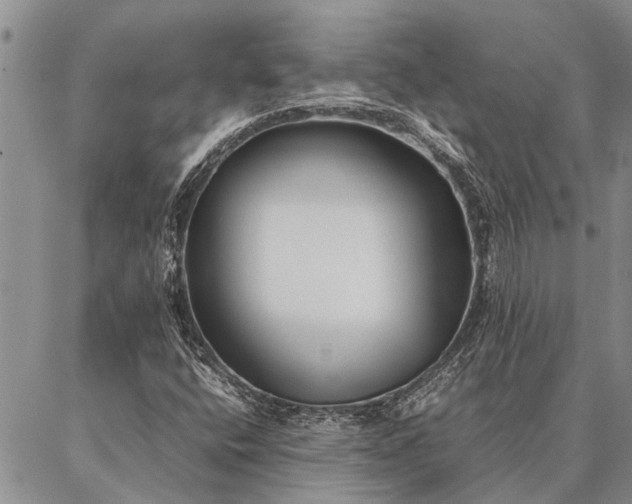 X0000086891400200704231116