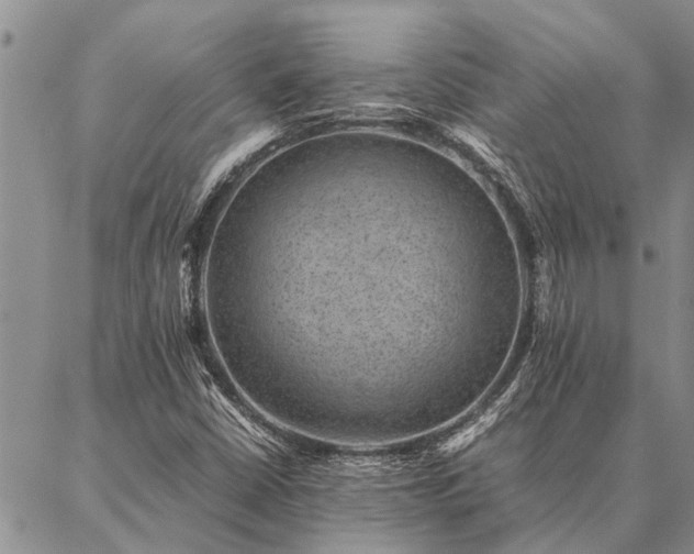 X0000086891402200704231116