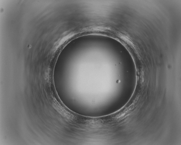 X0000086891404200704231116