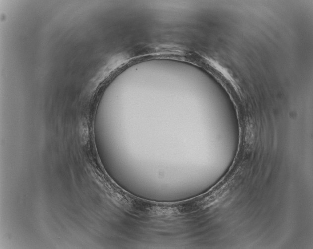 X0000086891407200704231116