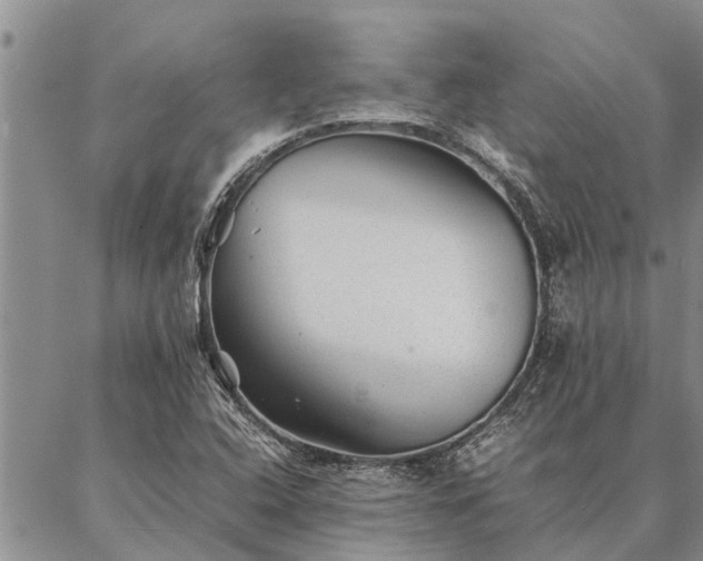 X0000086891408200704231116