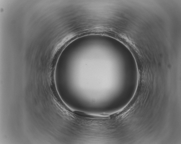 X0000086891410200704231116