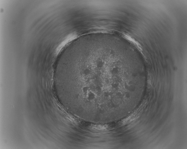 X0000086891411200704231116