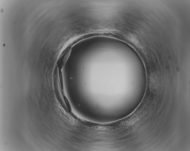 X0000086891412200704231116