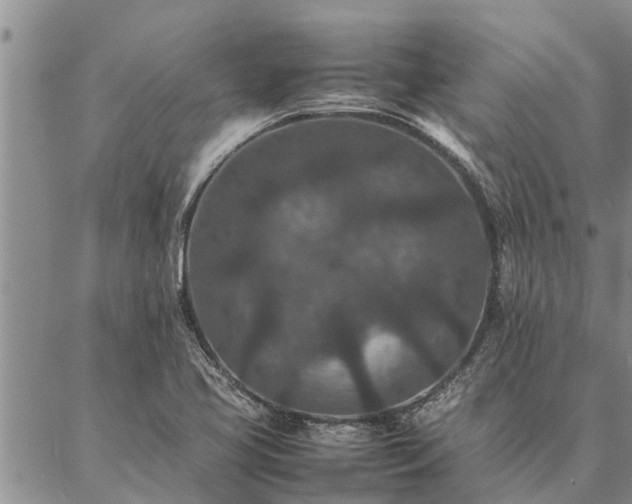 X0000086891413200704231116