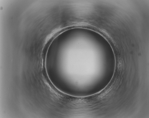 X0000086891414200704231116