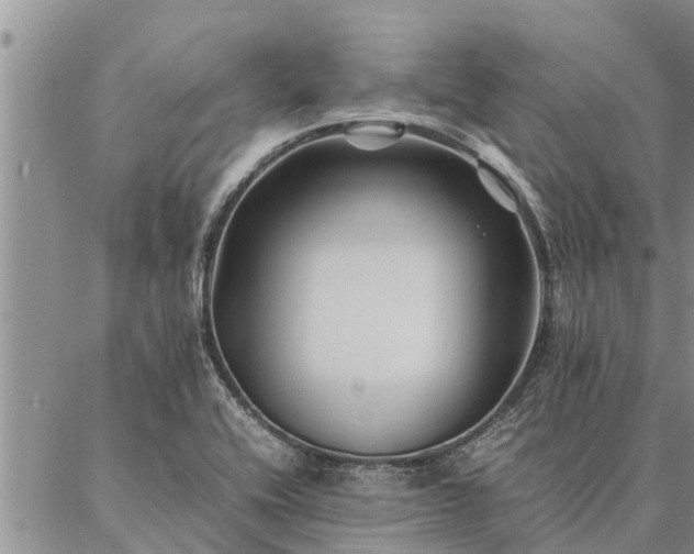 X0000086891416200704231116