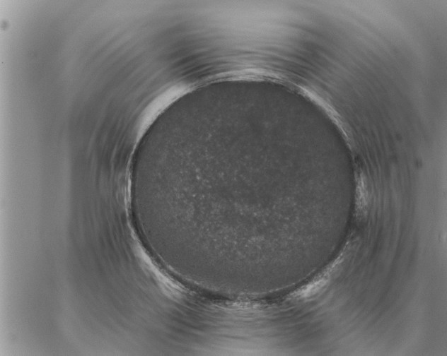 X0000086891418200704231116