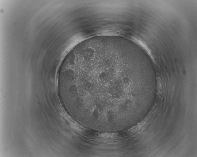 X0000086891419200704231116