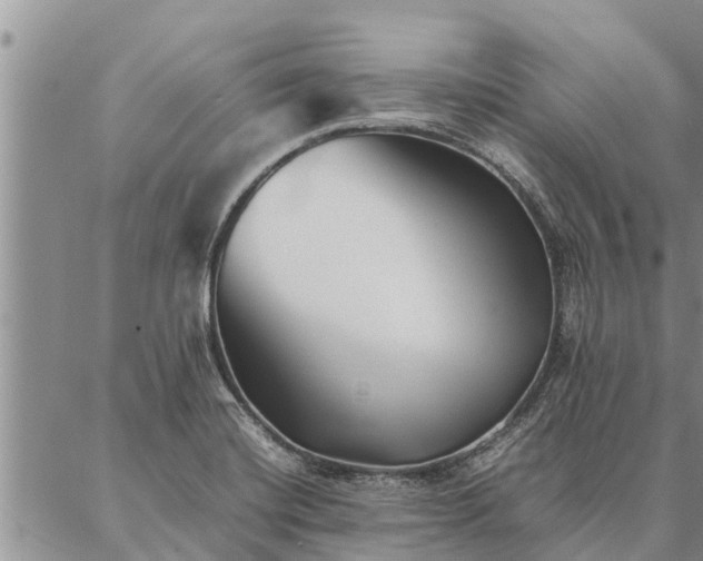 X0000086891420200704231116