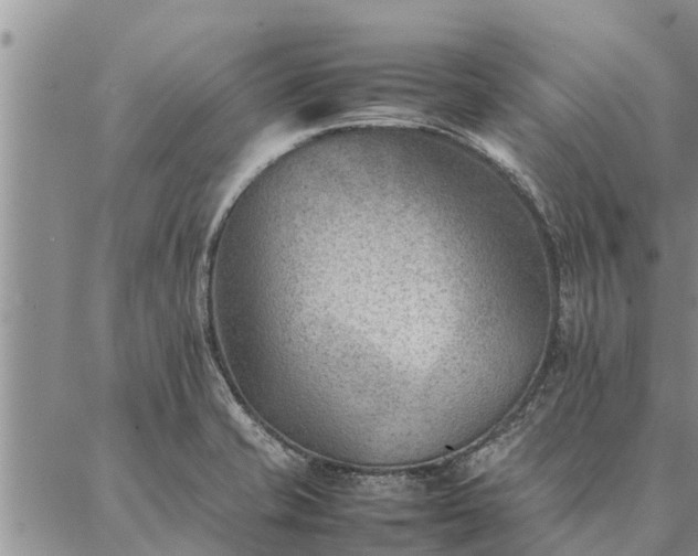 X0000086891421200704231117