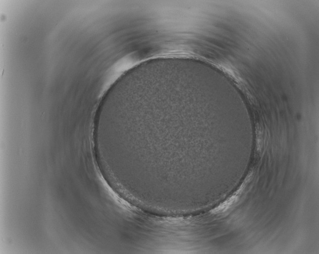 X0000086891422200704231117