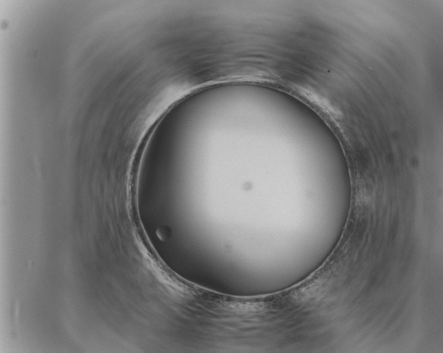 X0000086891423200704231117