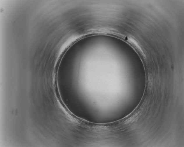 X0000086891424200704231117