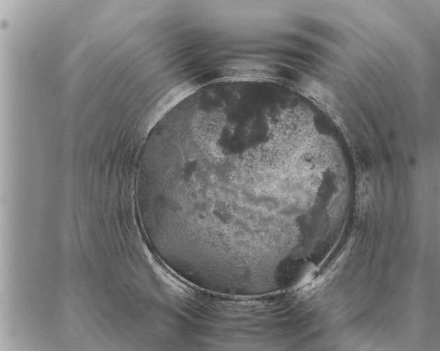 X0000086891425200704231117