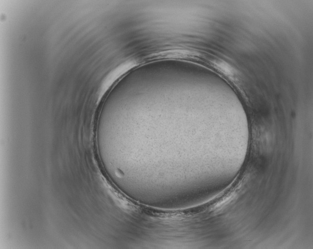 X0000086891426200704231117