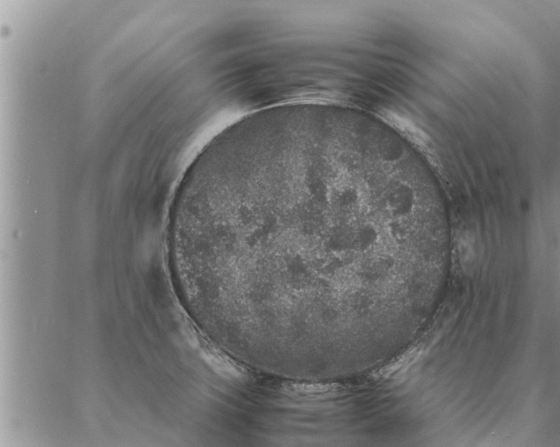 X0000086891427200704231117