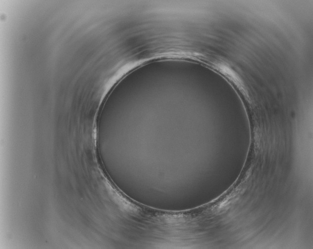 X0000086891428200704231117