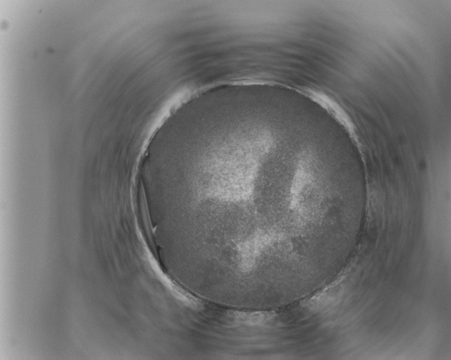 X0000086891429200704231117