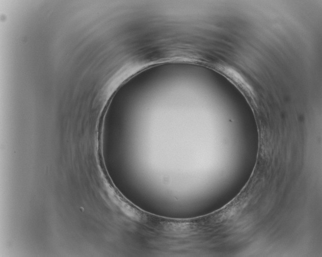 X0000086891431200704231117