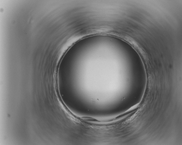 X0000086891432200704231117