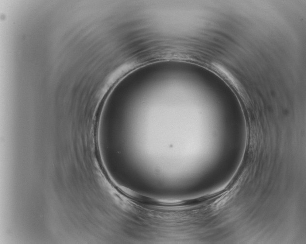 X0000086891434200704231117