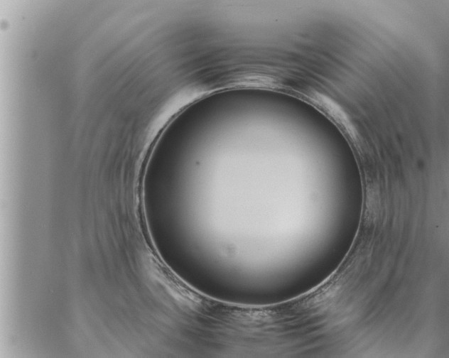 X0000086891435200704231117