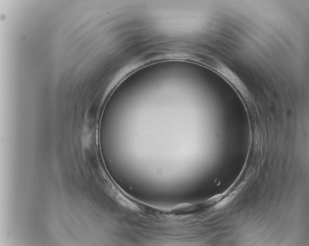 X0000086891436200704231117