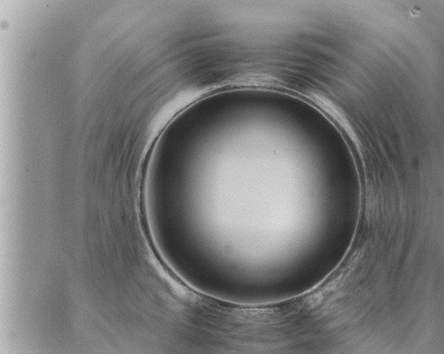 X0000086891437200704231117