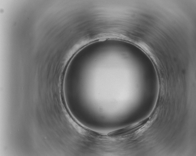 X0000086891438200704231117