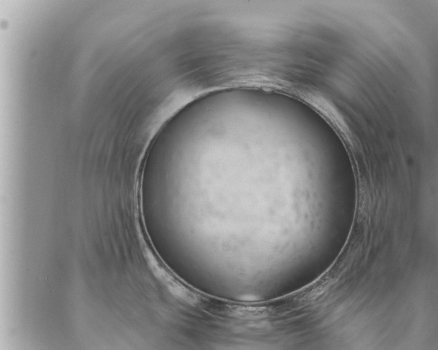 X0000086891439200704231117