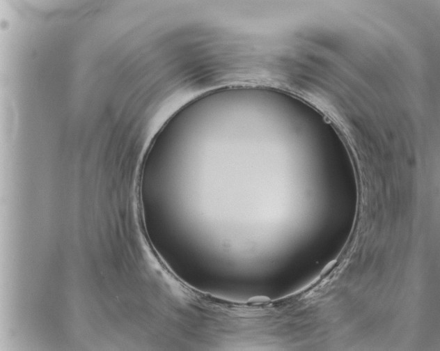 X0000086891440200704231117