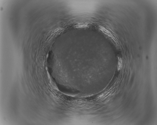 X0000086891441200704231116