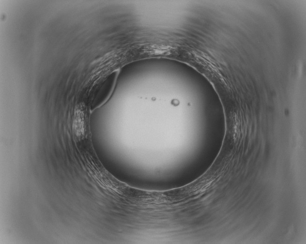 X0000086891442200704231116