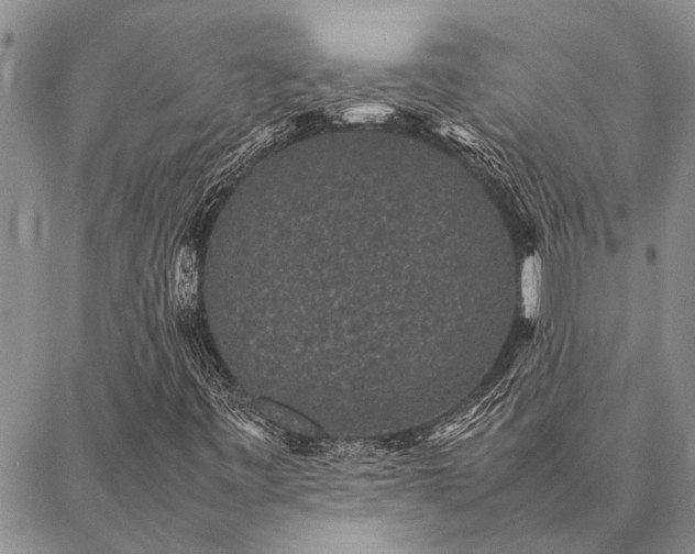 X0000086891443200704231116